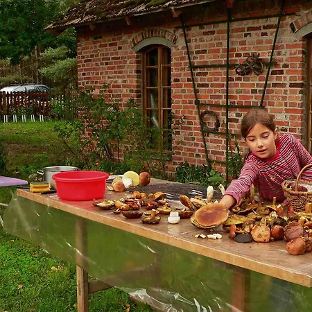 Agro-dom Wsrod Lasow