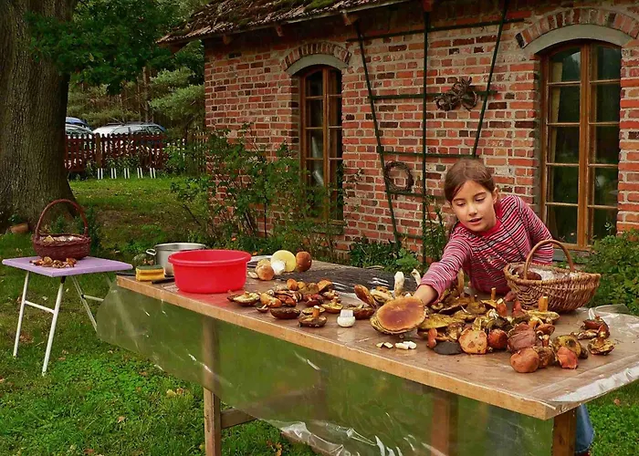 Agro-dom Wsrod Lasow